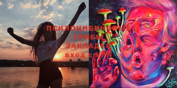 гидра Белоозёрский