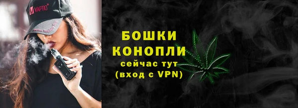 гидра Белоозёрский