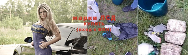 СК Белокуриха