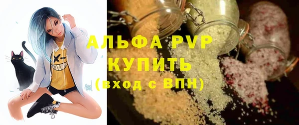 СК Белокуриха