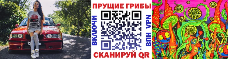 цена наркотик  мега как войти  Псилоцибиновые грибы ЛСД  Вязьма 